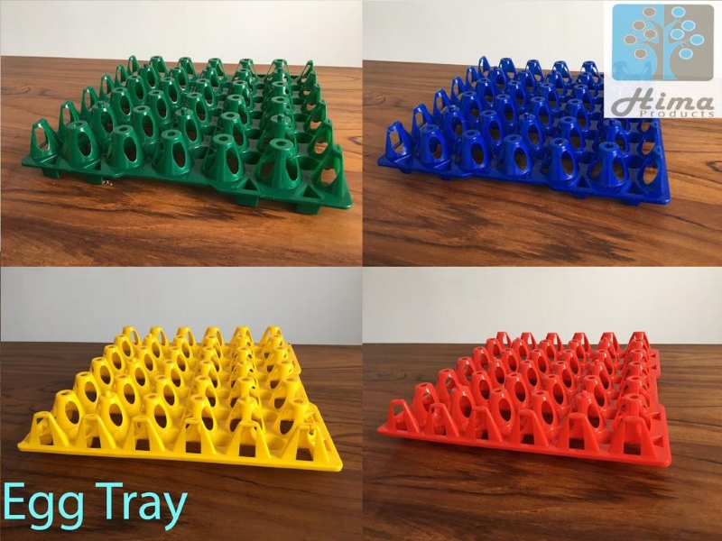 Egg Tray